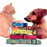 PLAYFUL PET COLLARS