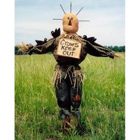 SCARECROW STICK